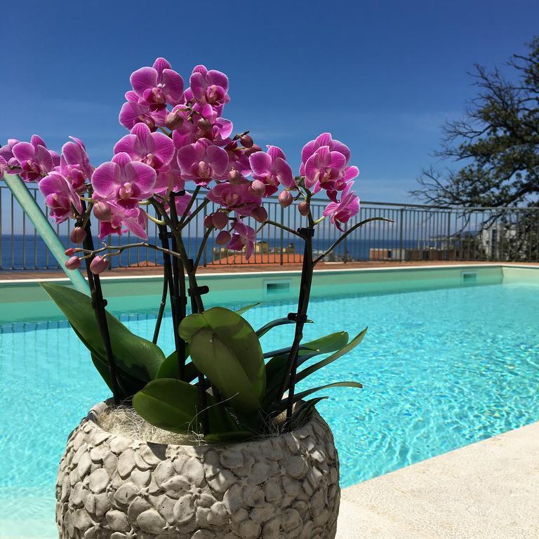 Hotel Mediterraneo Cavi di Lavagna Dış mekan fotoğraf